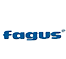 Fagus