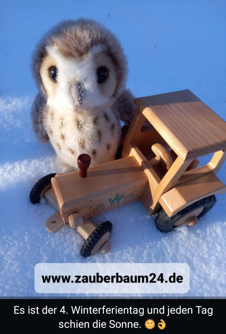 Bunte Kreisel aus Holz